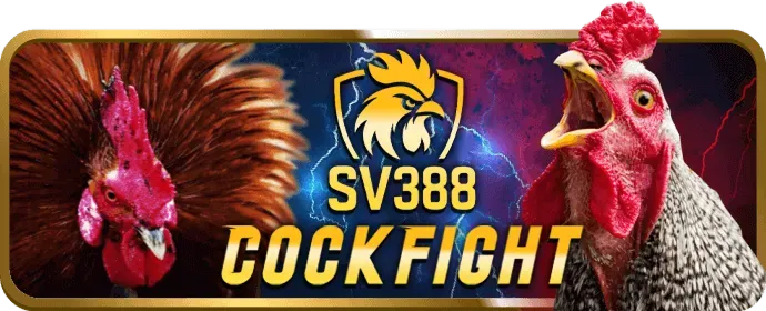 Cá cược thể thao Win55